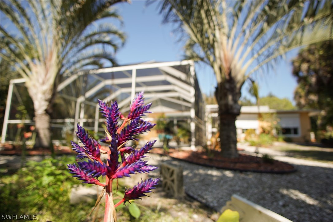 14511 Bokeelia Road Bokeelia, FL 33922 - Photo 3 of 18 Gallery Image 3