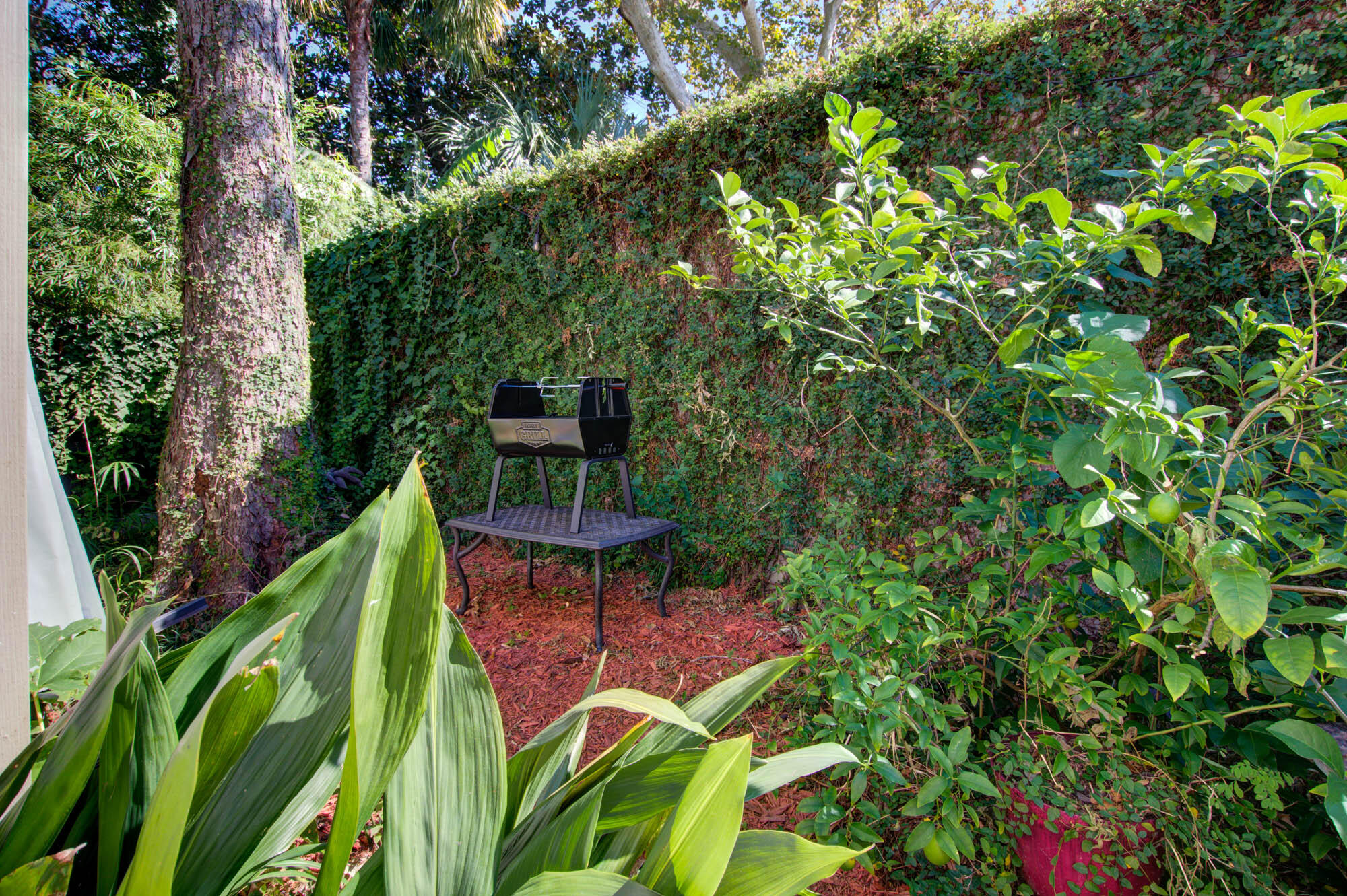 4 Pitt Street Charleston, SC 29401 - Photo 37 of 40 22.75 Pitt (39)