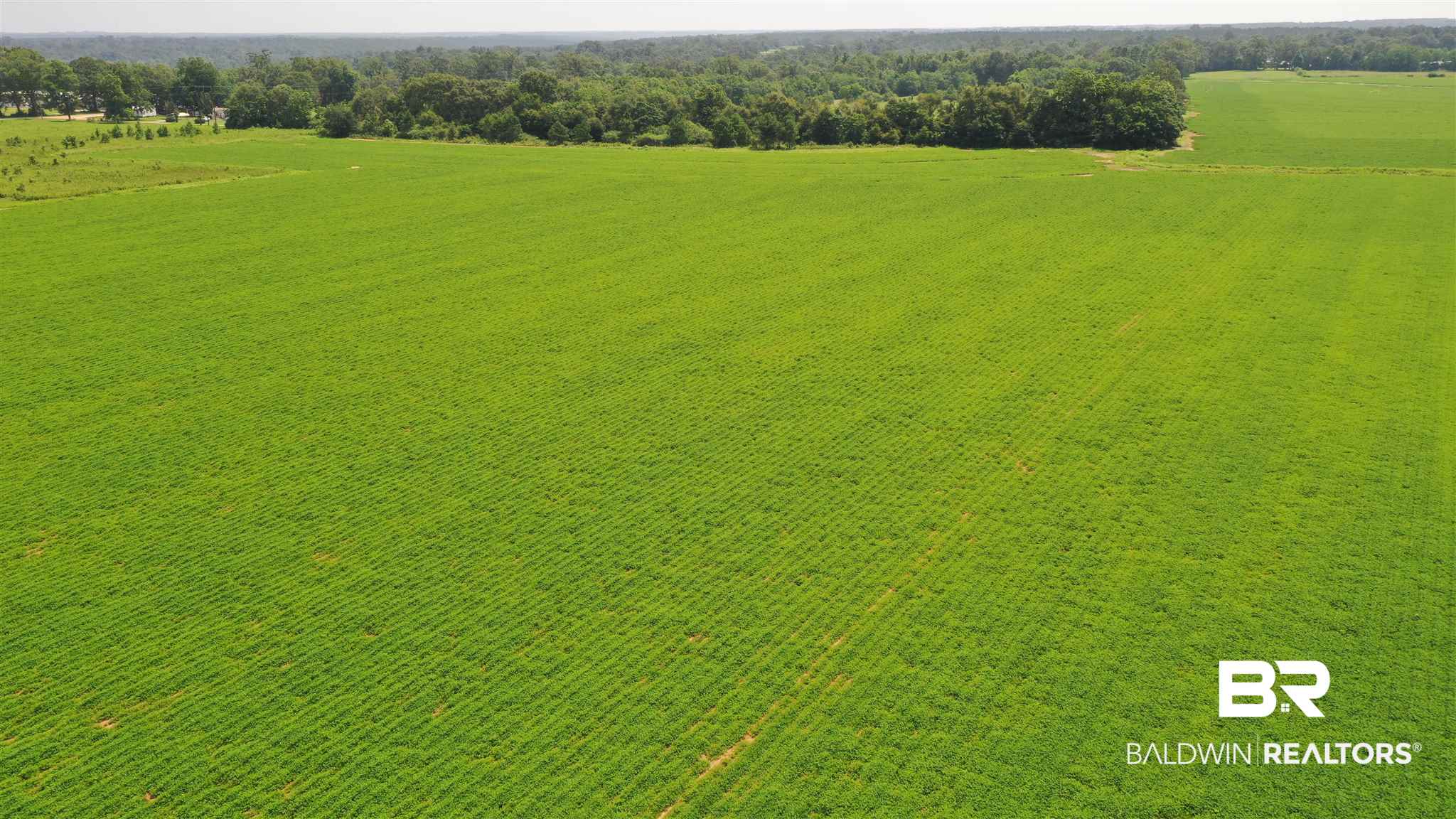 21 Highway 21 Atmore, AL 36502 - Photo 11 of 19