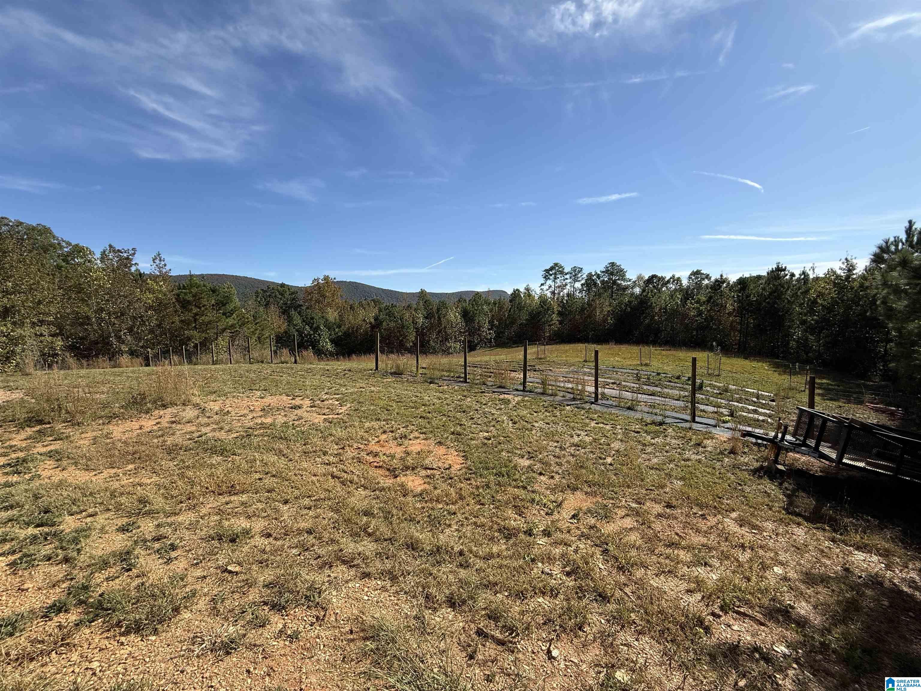 7070 Rendalia Motorway Talladega, AL 35160 - Photo 5 of 28
