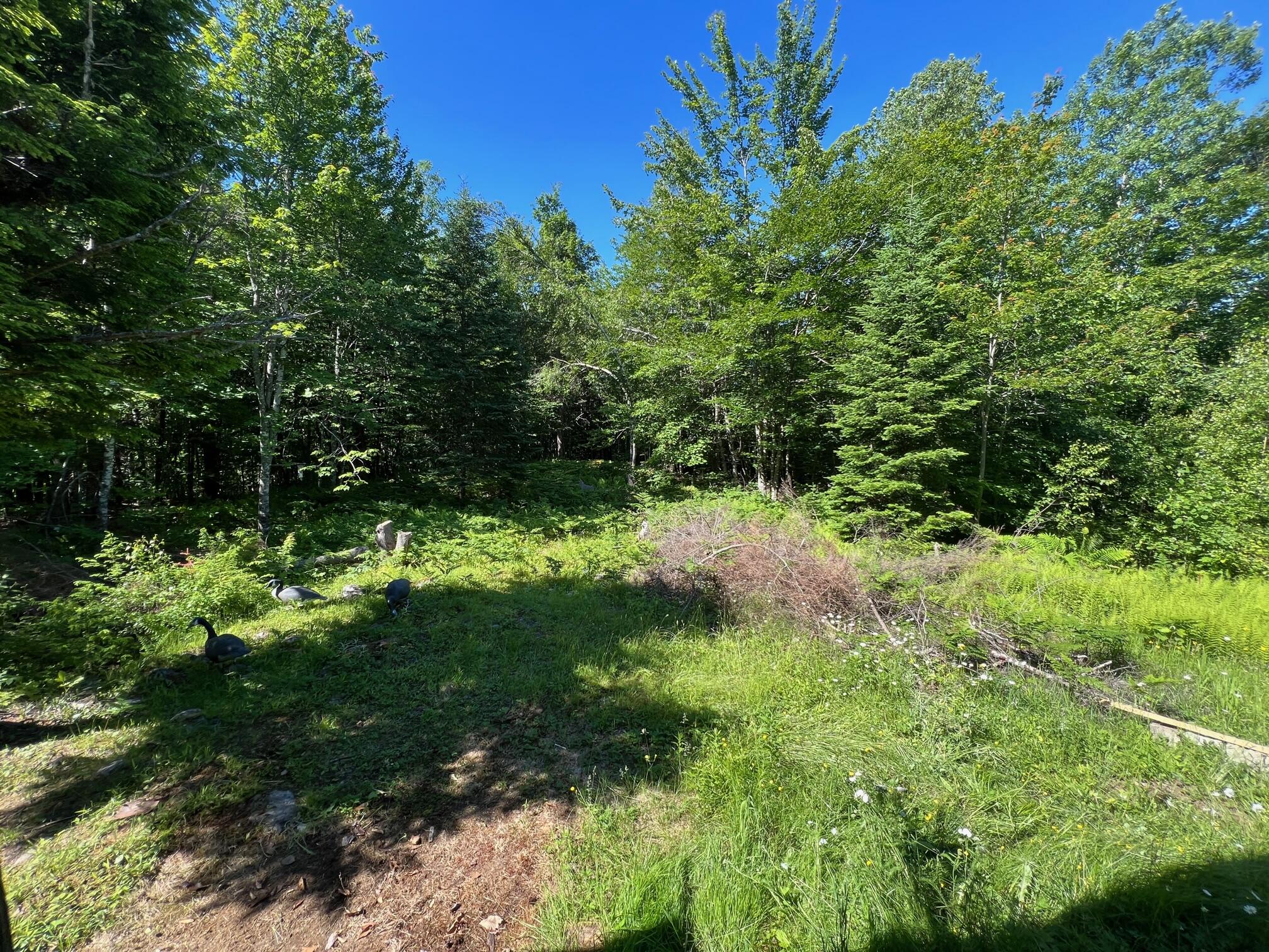 23 Jackman Road Parkman, ME 04443 - Photo 25 of 43 25