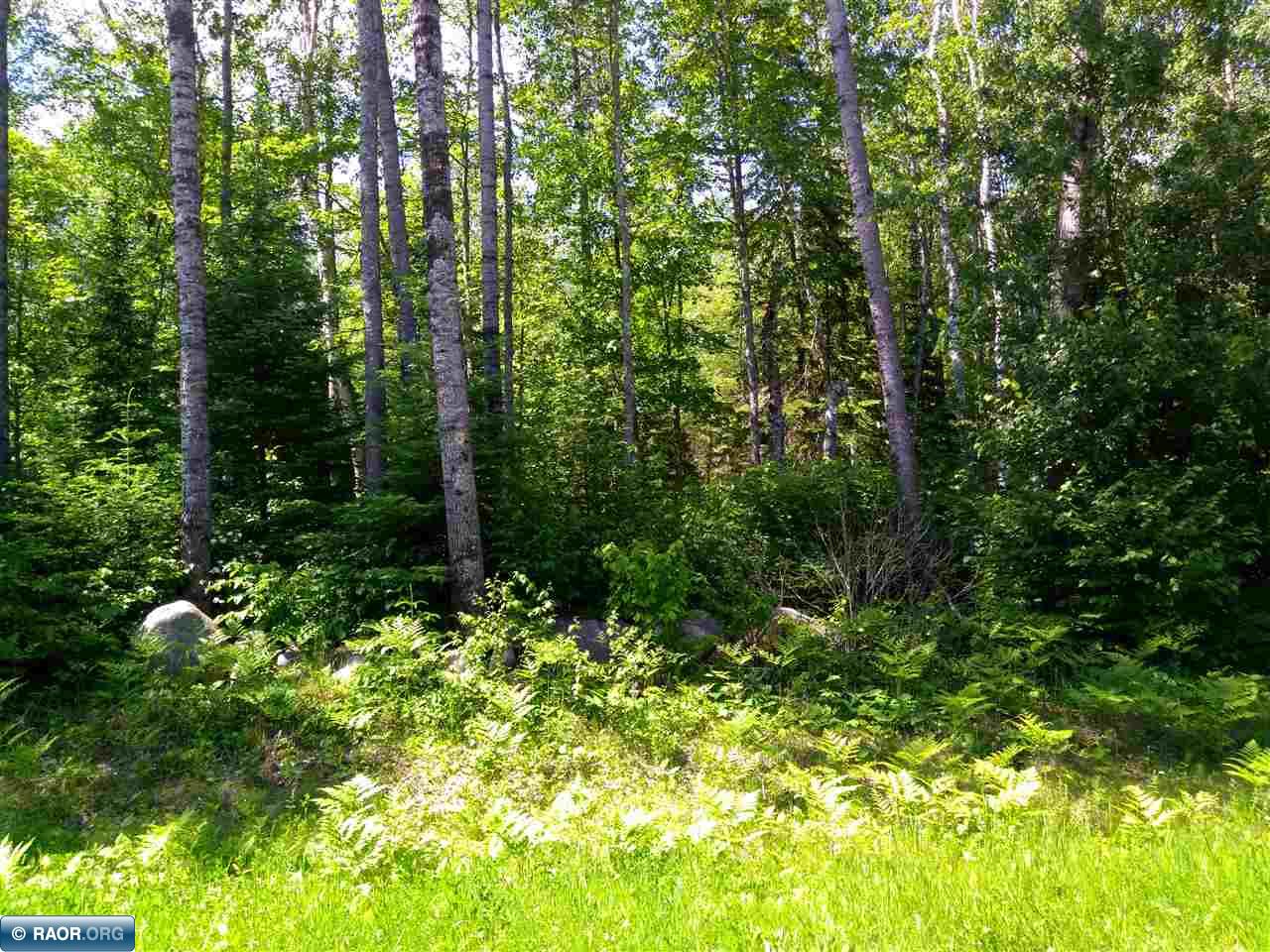 119-xx Luna Lake Road Side Lake, MN 55781 - Photo 1 of 3