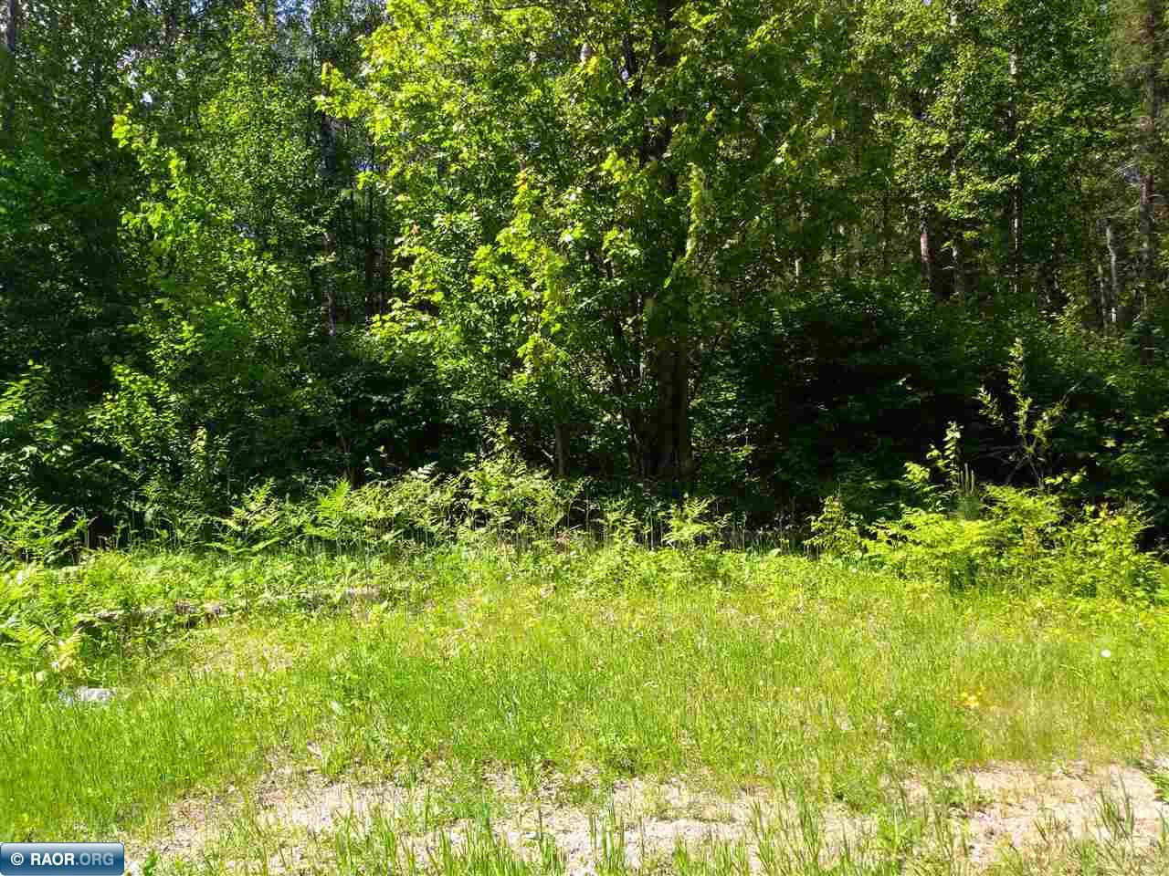 119-xx Luna Lake Road Side Lake, MN 55781 - Photo 2 of 3