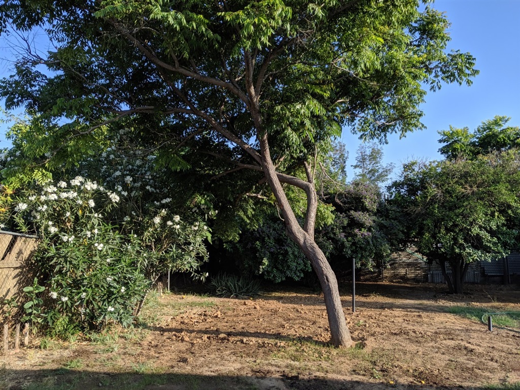 1258 Palmer Street Riverside, CA 92507 - Photo 8 of 13