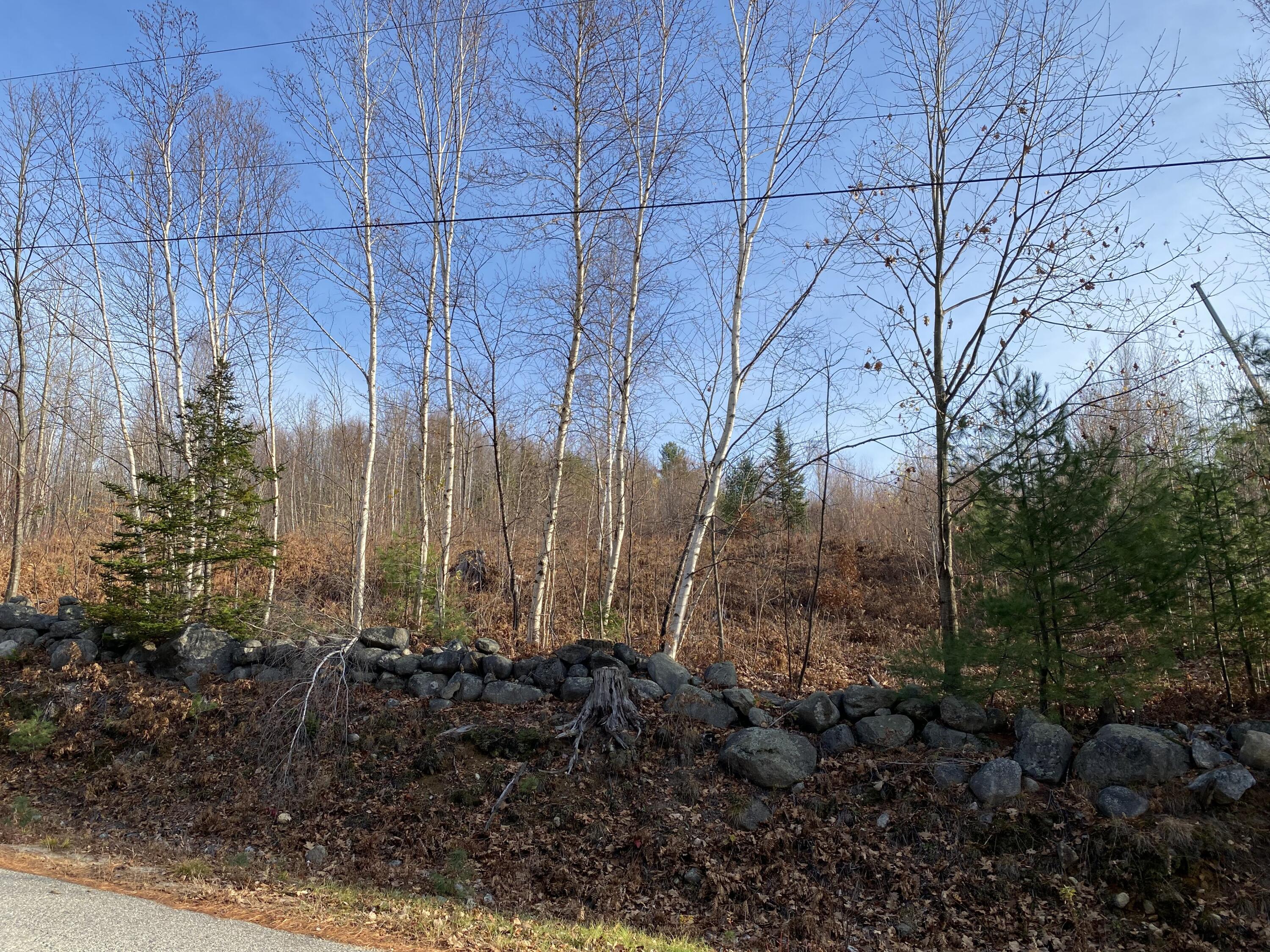 Lot #9 Taylor Smith Road Bethel, ME 04217 - Photo 12 of 22 Lower Street view up lot