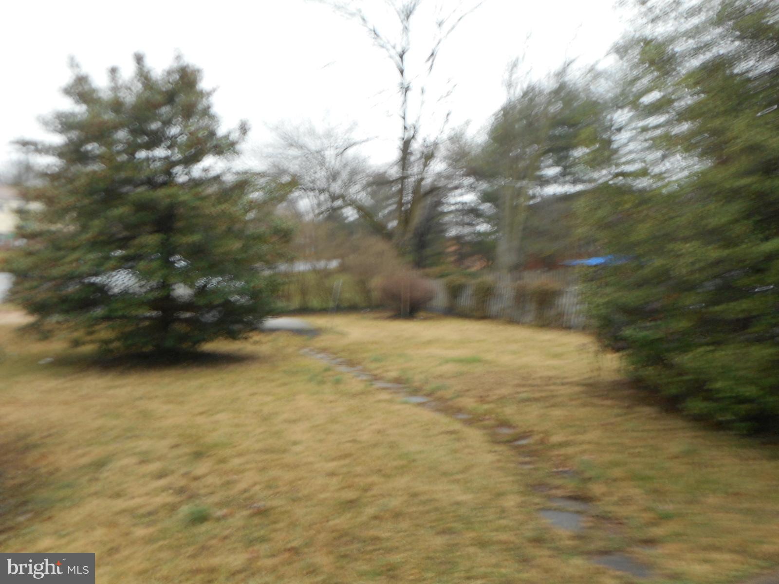 6501 Windsor Mill Road Baltimore, MD 21207 - Photo 3 of 17 a view of a yard with large trees