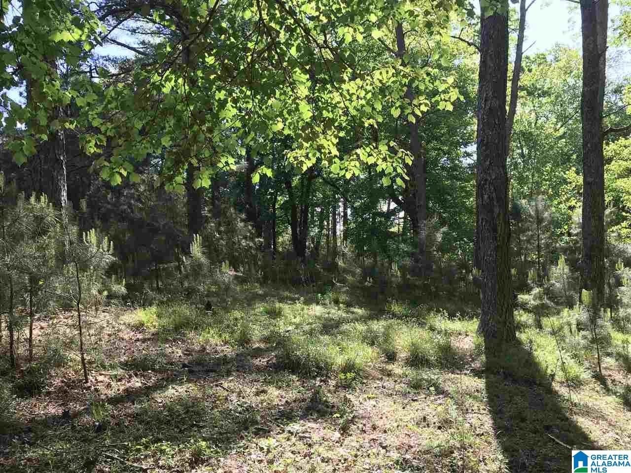 0 Steele Gap Road North, Unit 11 4 Steele, AL 35987 - Photo 20 of 26