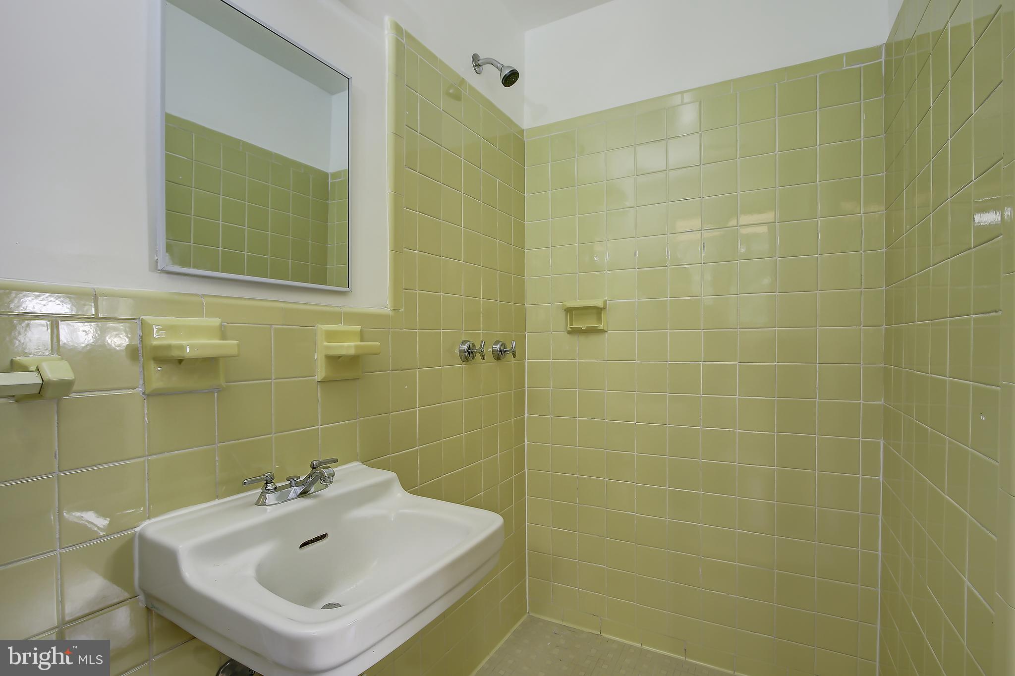 1501 Ladd Street Silver Spring, MD 20902 - Photo 19 of 39 Master Bath