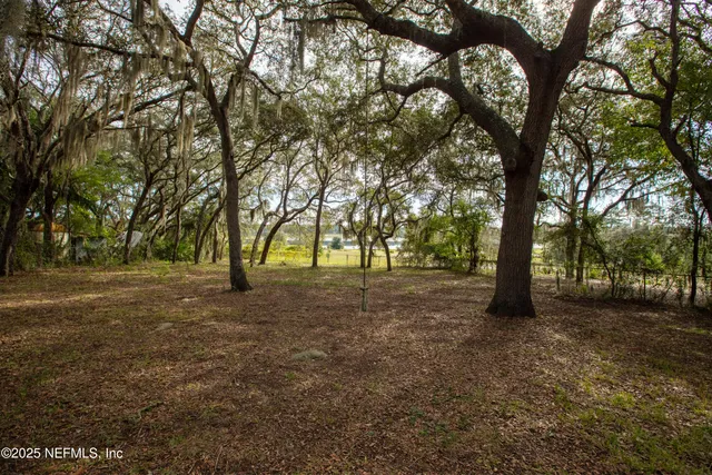 a view of dirt yard with a tree