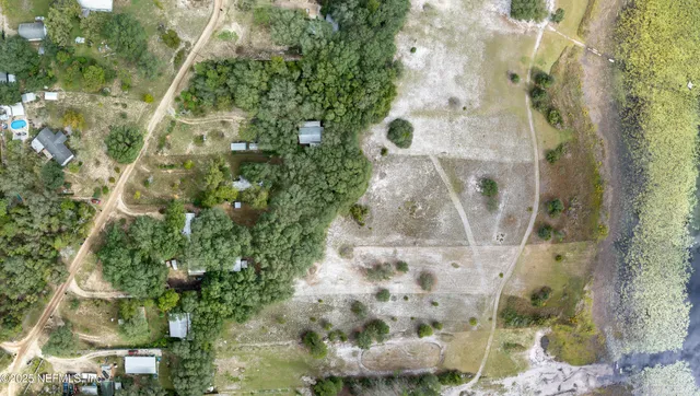 a view of a plant in a bathroom