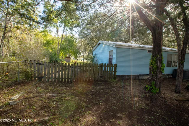 a view of backyard and trees