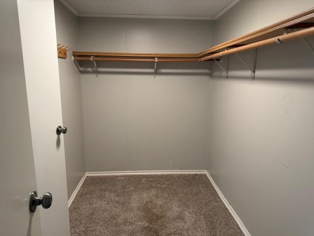 442 Old Leclerc Road Cusick, WA 99119 - Photo 12 of 24