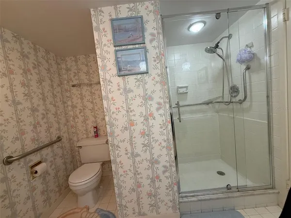 a bathroom with a shower and a toilet