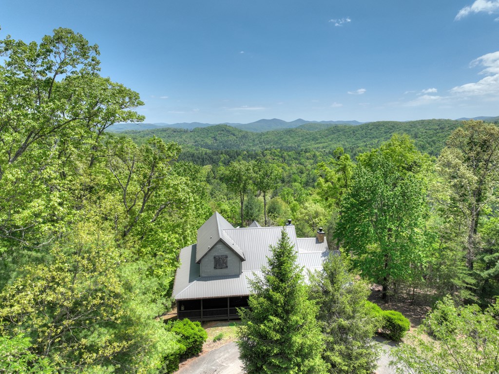 46 Cochise Road Cherry Log, GA 30522 - Photo 56 of 63