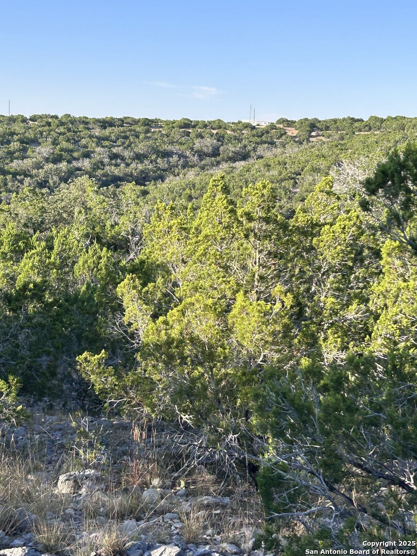840 SD 23040 Rocksprings, TX 78880 - Photo 11 of 56 a view of a city with lush green forest