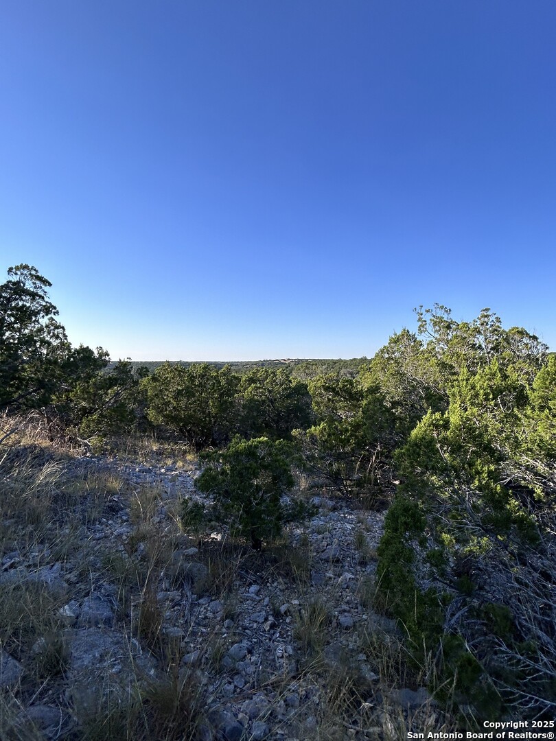 840 SD 23040 Rocksprings, TX 78880 - Photo 12 of 56 a view of a city with lush green forest
