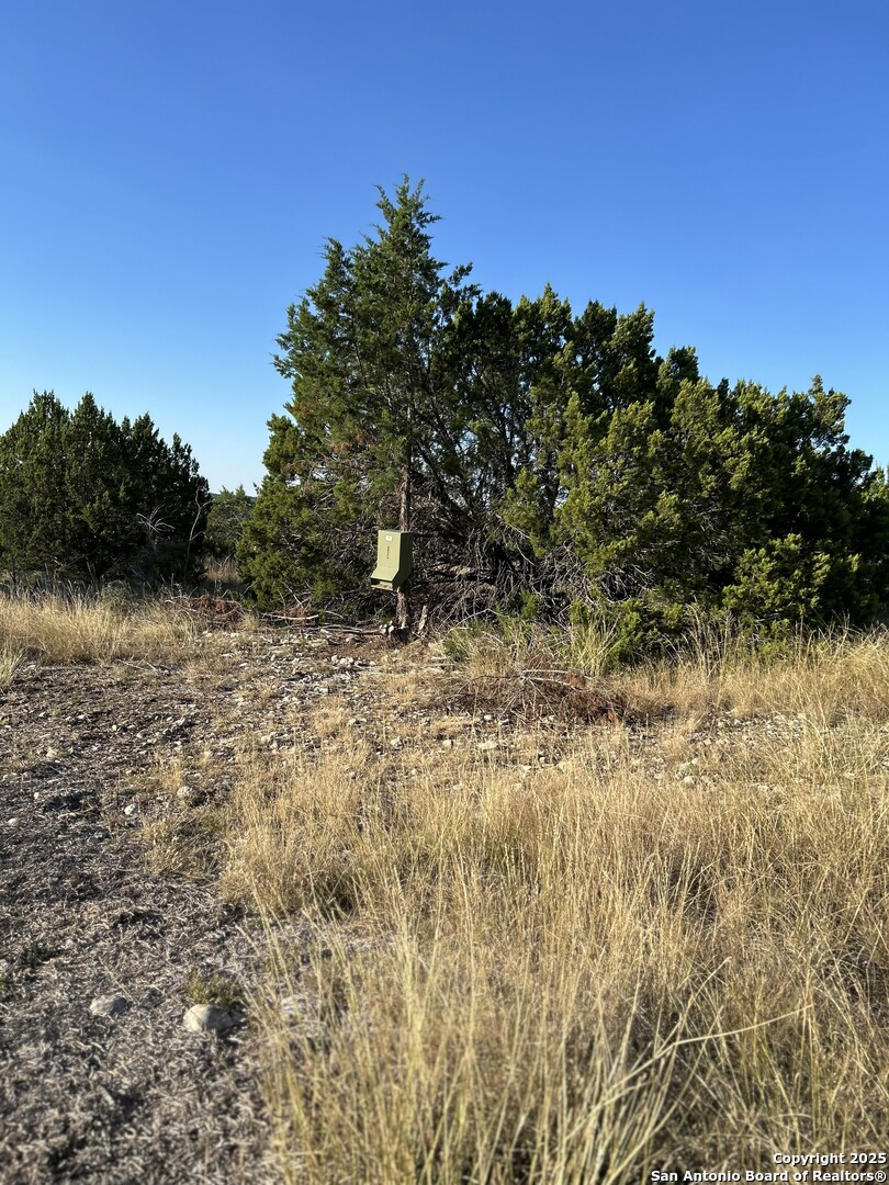 840 SD 23040 Rocksprings, TX 78880 - Photo 25 of 56 a view of a lake with a tree in the background