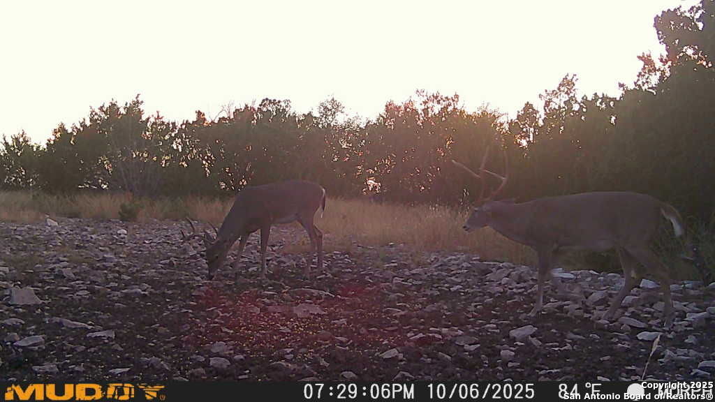 840 SD 23040 Rocksprings, TX 78880 - Photo 29 of 56 a view of a yard