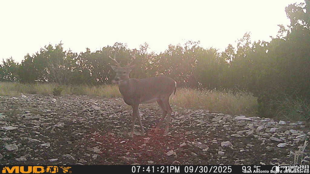 840 SD 23040 Rocksprings, TX 78880 - Photo 30 of 56 a view of a lake view