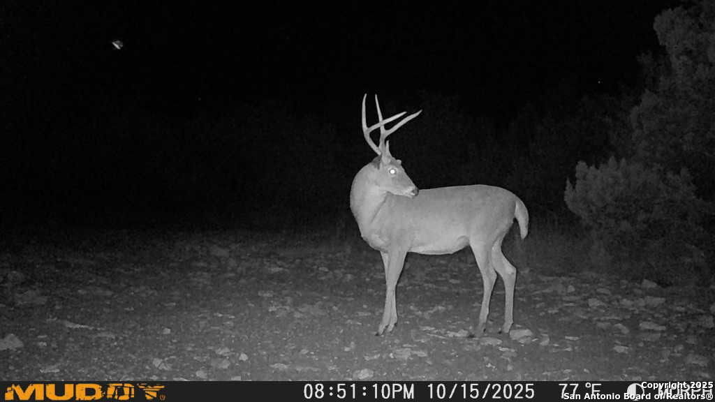 840 SD 23040 Rocksprings, TX 78880 - Photo 31 of 56