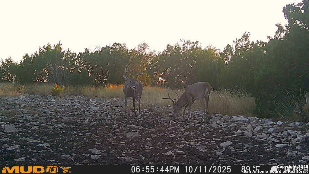 840 SD 23040 Rocksprings, TX 78880 - Photo 32 of 56 a view of a backyard