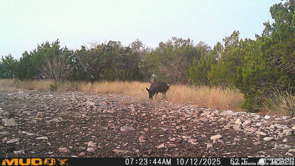 840 SD 23040 Rocksprings, TX 78880 - Photo 33 of 56