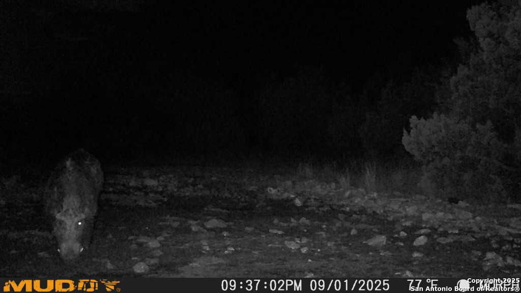 840 SD 23040 Rocksprings, TX 78880 - Photo 34 of 56 a view of a yard