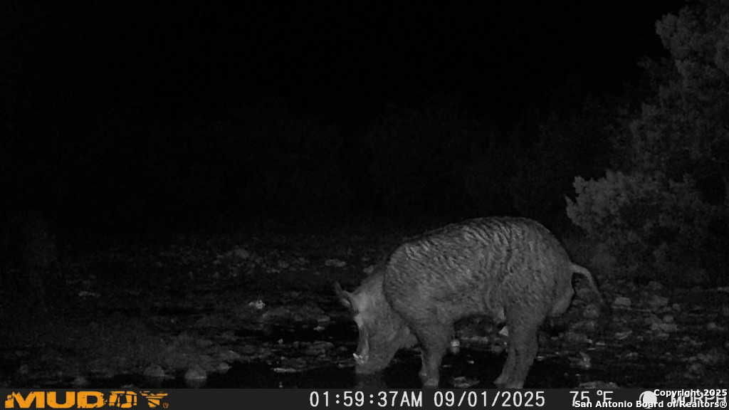 840 SD 23040 Rocksprings, TX 78880 - Photo 35 of 56 a view of entryway