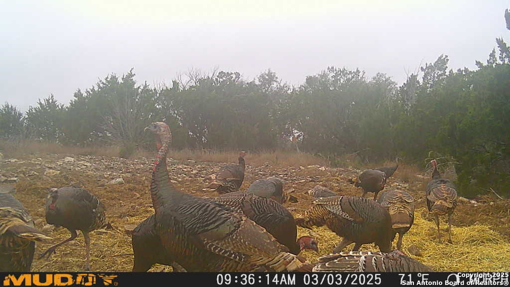 840 SD 23040 Rocksprings, TX 78880 - Photo 36 of 56 a view of a lake