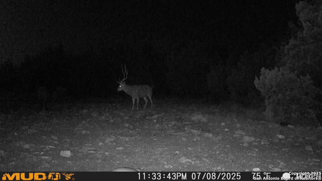 840 SD 23040 Rocksprings, TX 78880 - Photo 37 of 56