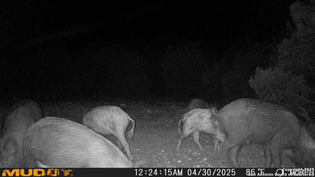 840 SD 23040 Rocksprings, TX 78880 - Photo 38 of 56 a view of entryway