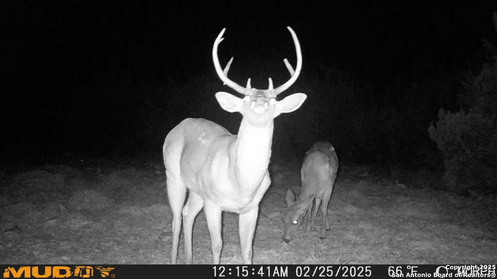 840 SD 23040 Rocksprings, TX 78880 - Photo 39 of 56 a front view of a house with sitting space