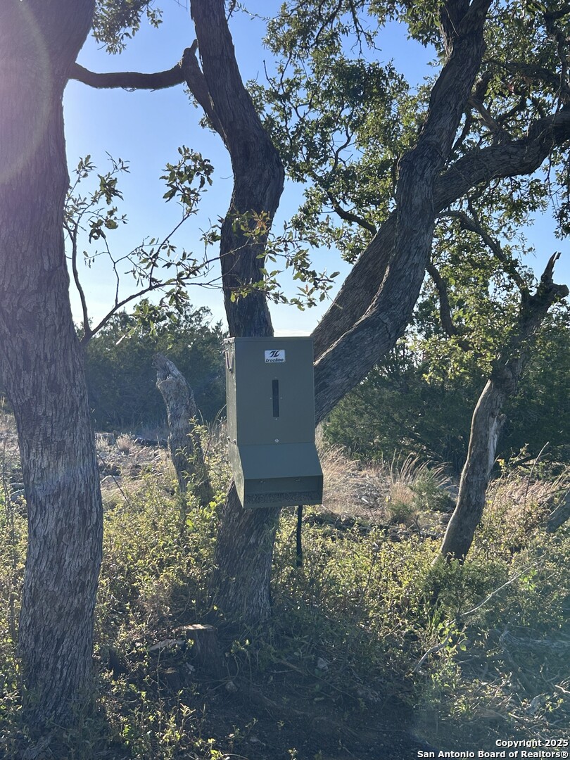 840 SD 23040 Rocksprings, TX 78880 - Photo 4 of 56 a view of a tree in the yard