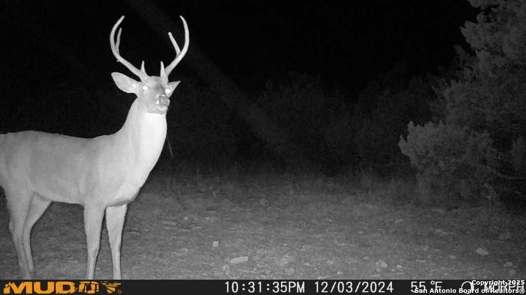 840 SD 23040 Rocksprings, TX 78880 - Photo 41 of 56