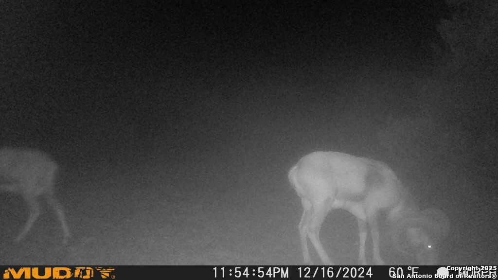 840 SD 23040 Rocksprings, TX 78880 - Photo 42 of 56 a view of an empty room