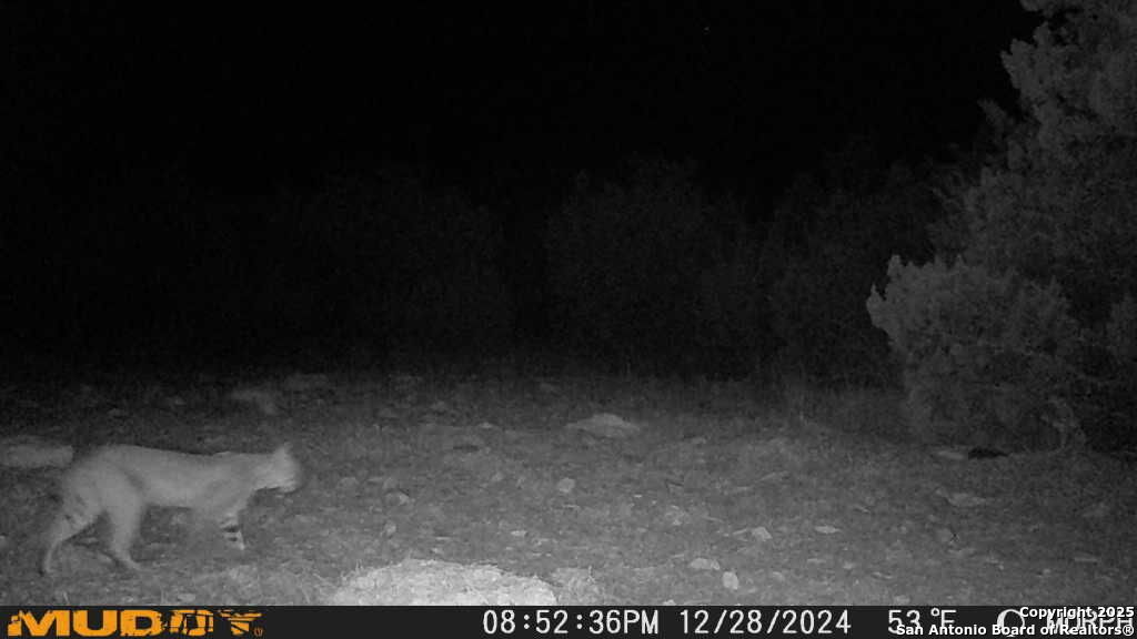 840 SD 23040 Rocksprings, TX 78880 - Photo 43 of 56