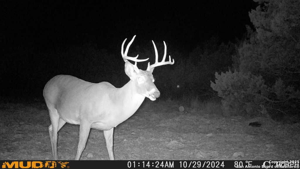 840 SD 23040 Rocksprings, TX 78880 - Photo 44 of 56 a kitchen with a sink