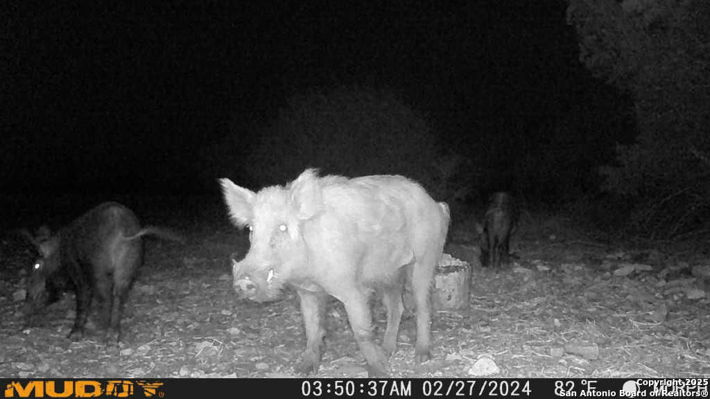 840 SD 23040 Rocksprings, TX 78880 - Photo 51 of 56 a black and white photo of a fireplace