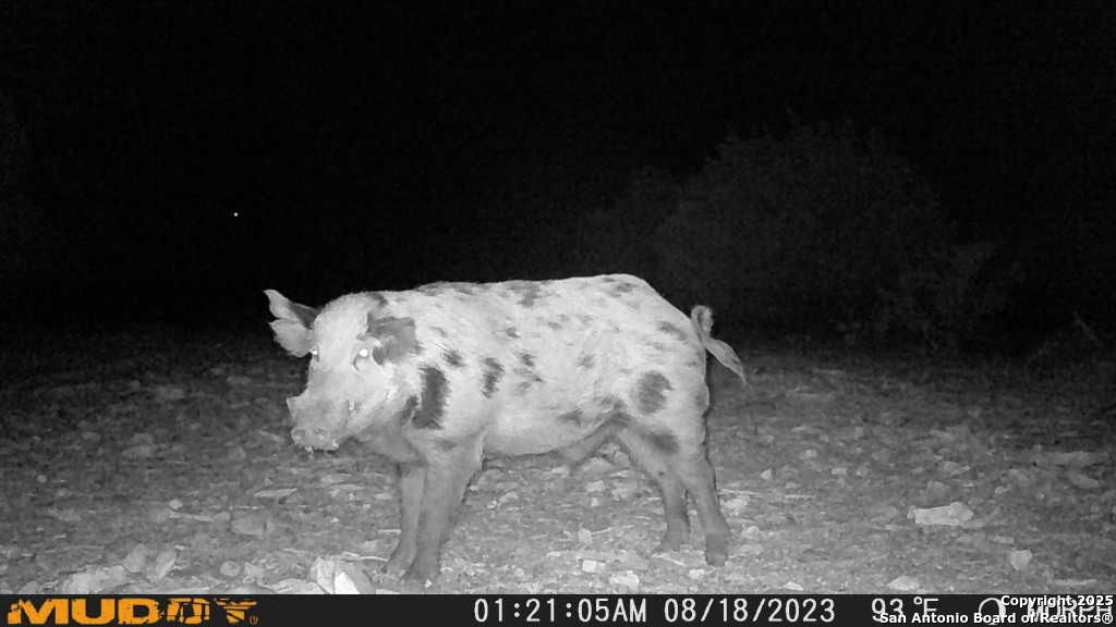 840 SD 23040 Rocksprings, TX 78880 - Photo 53 of 56 a black and white photo of a room