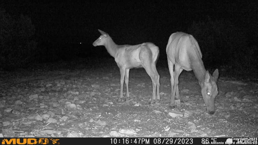 840 SD 23040 Rocksprings, TX 78880 - Photo 54 of 56 a view of a backyard