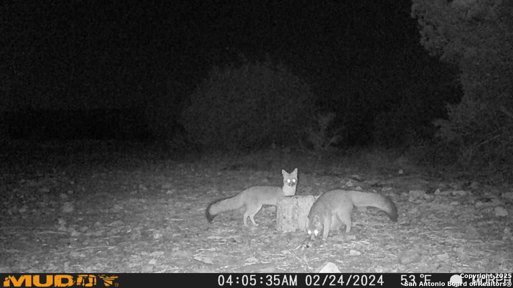 840 SD 23040 Rocksprings, TX 78880 - Photo 55 of 56 a view of fountain in the room