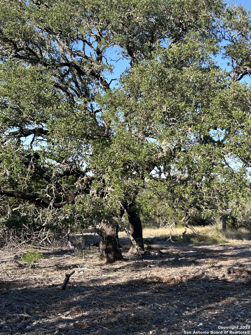 840 SD 23040 Rocksprings, TX 78880 - Photo 6 of 56 a picture of street