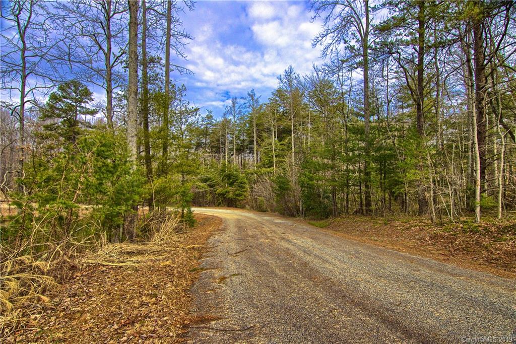 Lot #2 Azalea Way Saluda, NC 28773 - Photo 3 of 8 Gallery Image 3