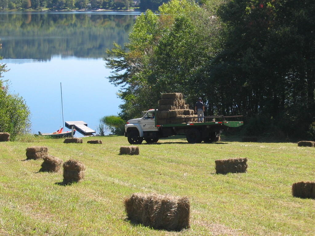 1341 Appleton Road Union, ME 04862 - Photo 19 of 42 bales by lake