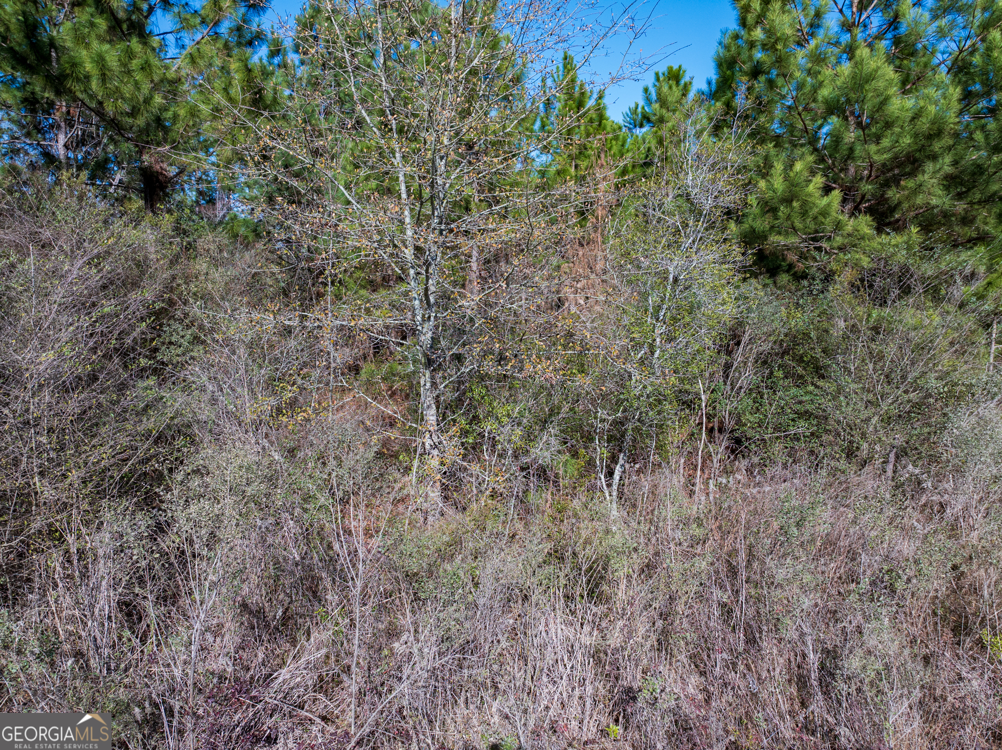 800 Listonia Road Cordele, GA 31015 - Photo 11 of 18
