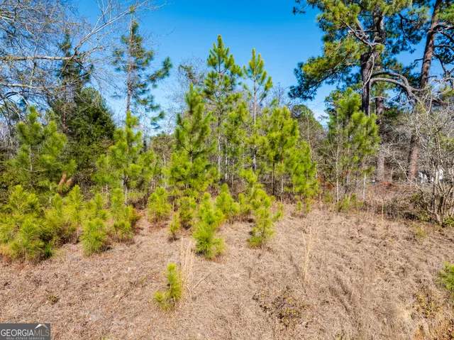 $24,900 | 800 Listonia Road, Cordele, GA 31015