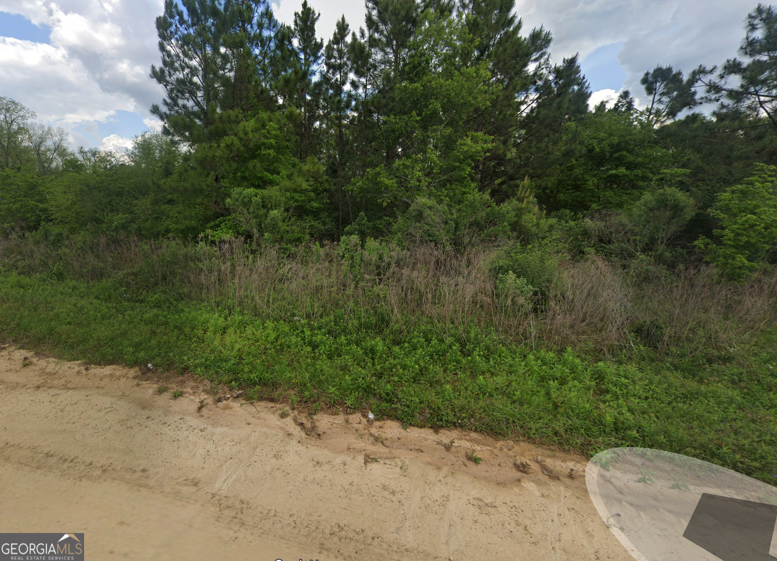 800 Listonia Road Cordele, GA 31015 - Photo 3 of 4 a view of a yard