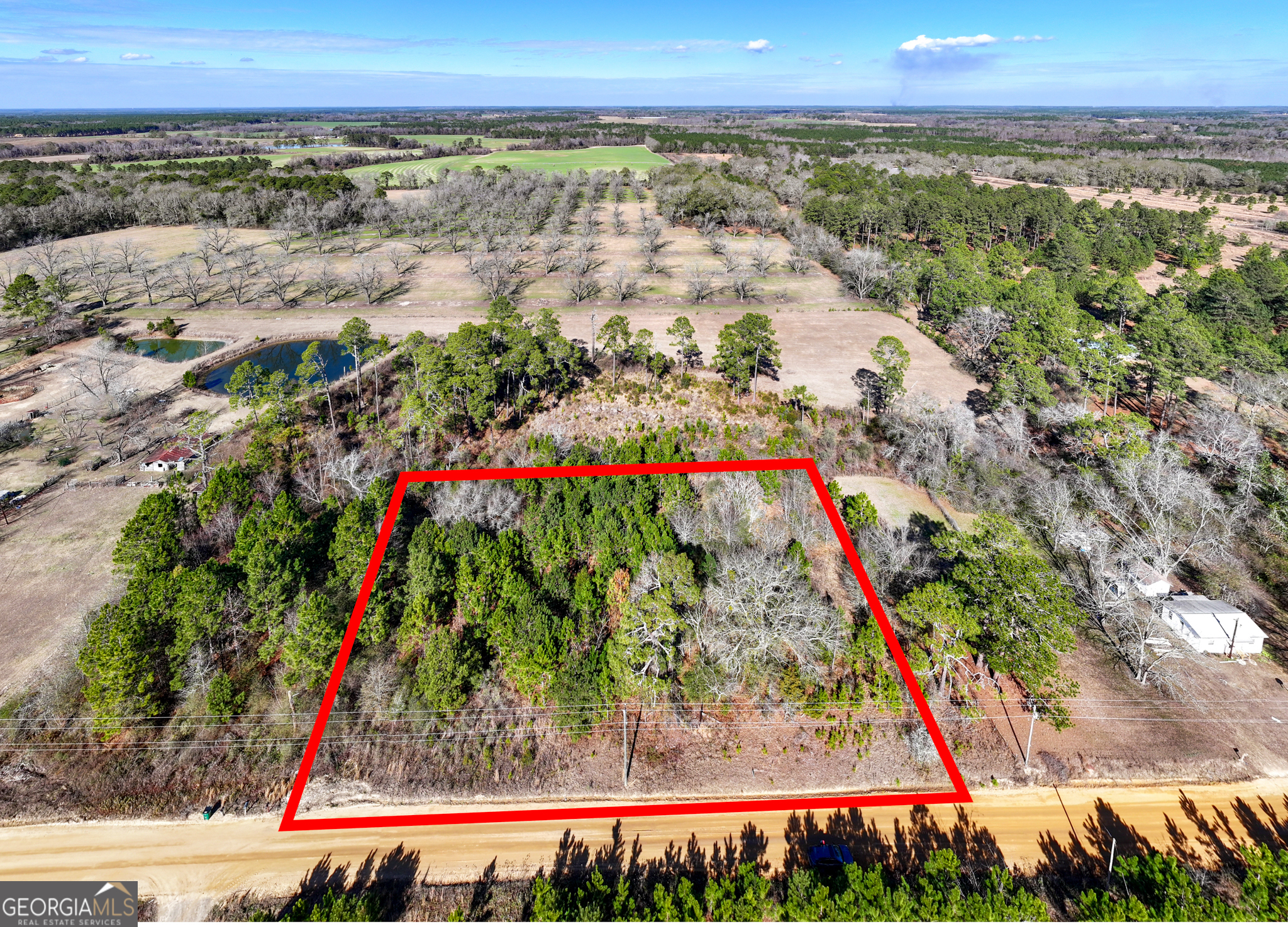 800 Listonia Road Cordele, GA 31015 - Photo 3 of 18