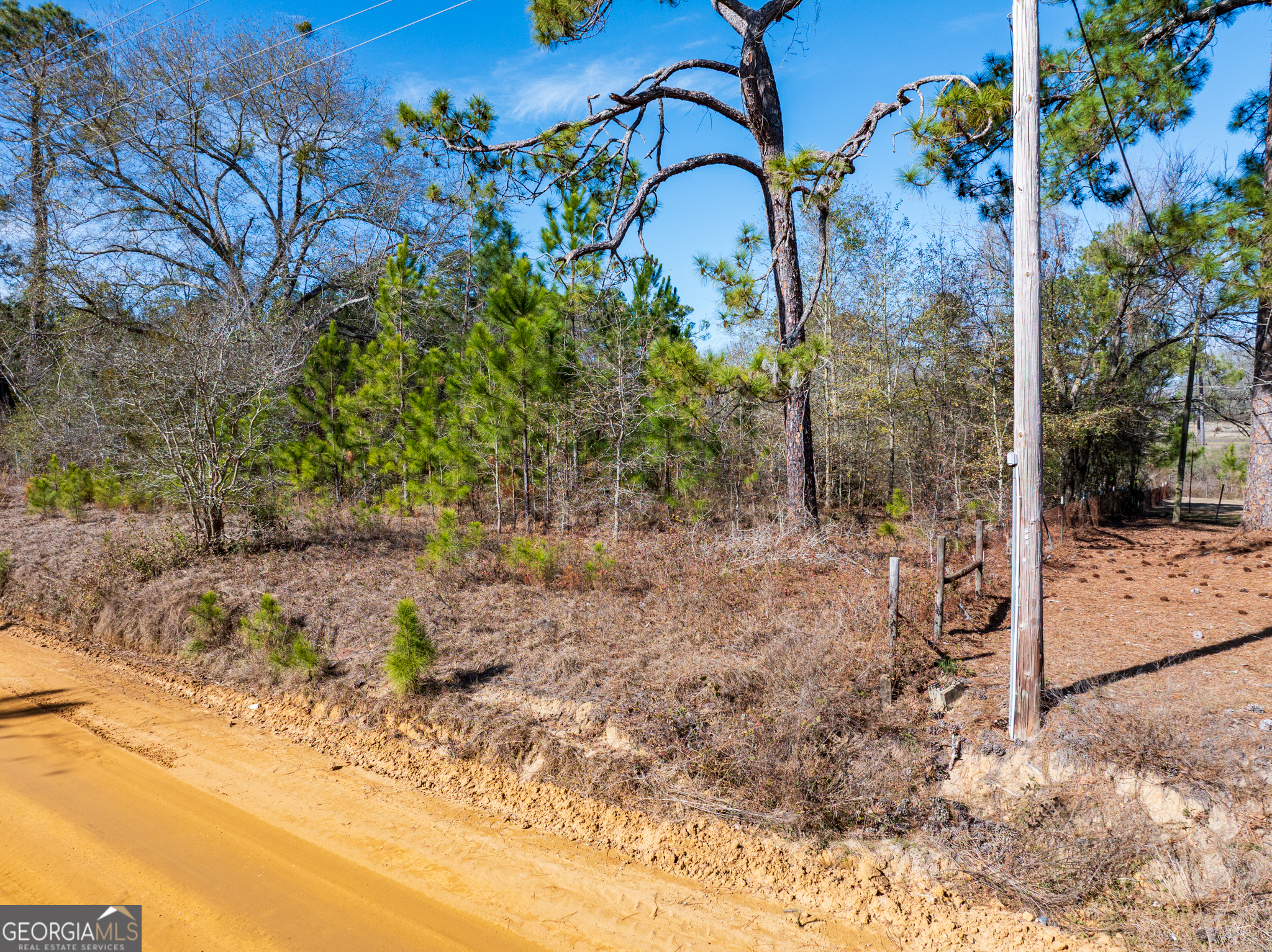 800 Listonia Road Cordele, GA 31015 - Photo 7 of 18