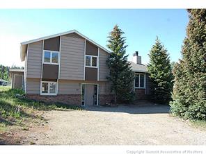 172 Alpine Road Dillon, CO 80435 - Photo 17 of 18 a backyard of a house with plants and trees